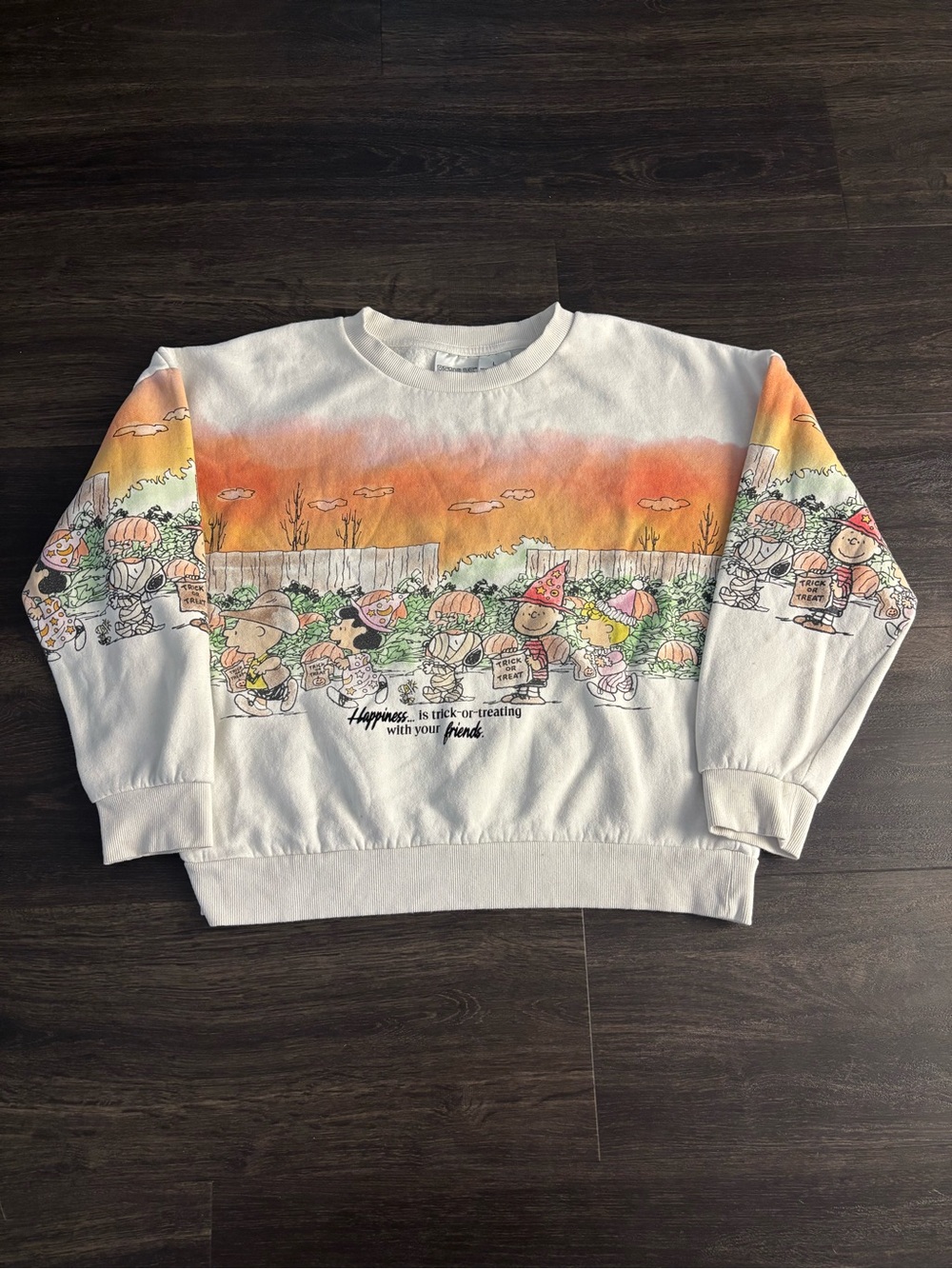Peanuts Gang Snoopy And Friends Halloween Sunset Scene Sweatshirt Womens L